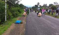 Truy tìm ô tô tông chết cụ bà bán rau lúc rạng sáng