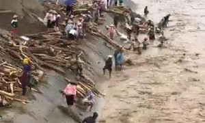 Clip: Lũ cuồn cuộn chảy xiết, dân Yên Bái vẫn liều lĩnh lao ra vớt củi