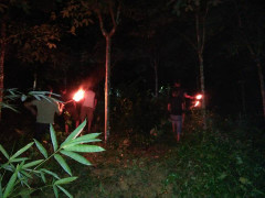 Dân Nghệ An trắng đêm đánh trống, đốt lửa xua đuổi đàn voi