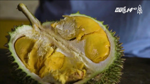 Bí ẩn mùi hương của loại quả 'nặng mùi' nhất thế giới