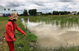 Rủ nhau xuống ruộng lúa rửa chân, 2 anh em đuối nước thương tâm