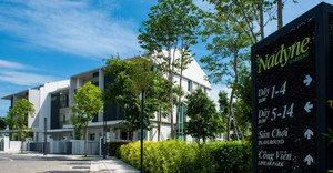 Thiên nhiên ParkCity - Nguồn cảm hứng bất tận của hội hoạ