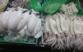 Cảnh báo: Mực nhiễm độc, giá siêu rẻ tràn lan ngoài chợ