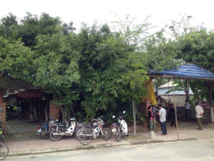 Nhân viên bưu điện treo cổ tự tử trên cây lộc vừng