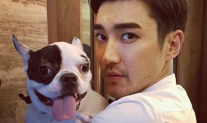 Gia đình Choi Siwon thả rông, làm sinh nhật cho chó sau sự cố cắn chết CEO gây phẫn nộ