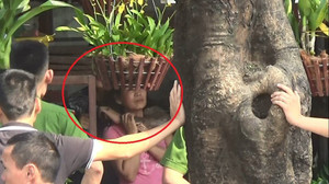 Trực tiếp: Hàng chục cảnh sát giải cứu người phụ nữ bị nam thanh niên dùng súng khống chế ở Hà Nội