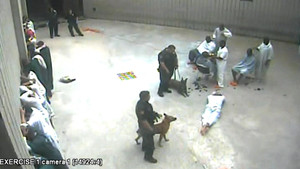 Video: Quản giáo Mỹ cho chó cắn tù nhân gây sốc