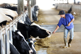 Điều gì khiến Mộc Châu Milk ghi điểm với người tiêu dùng Việt