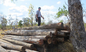Thủ tướng giao UBND tỉnh Đắk Lắk kiểm điểm trách nhiệm vì làm mất rừng