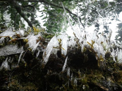 Băng giá xuất hiện ở Fansipan: Dấu hiệu của mùa đông năm nay sẽ lạnh nhất trong 100 năm qua?