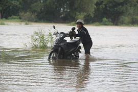 Lũ hoành hành miền Trung: 1 người chết, 250 con heo bị cuốn trôi