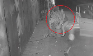 Clip: 'Quý bà' đi ô tô bê trộm chậu hoa của nhà dân lúc rạng sáng