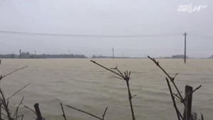 Video: Sau bão, nước lũ mênh mông bao vây Quảng Nam