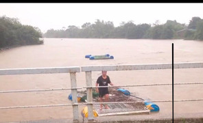 Thót tim nhìn người Huế liều mình cứu lồng cá đang trôi giữa dòng lũ dữ