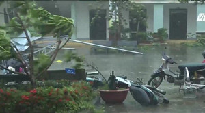 Chủ quan khiến ít nhất 29 người chết, 29 người mất tích do bão số 12