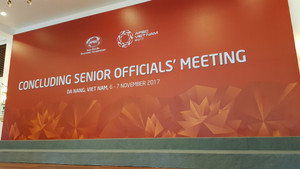 Tuần lễ cấp cao APEC 2017 chính thức khai mạc tại Đà Nẵng