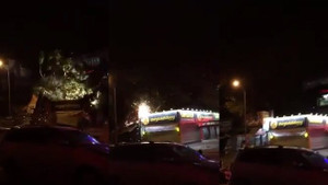 Video: Cây đa cổ thụ bật gốc đè bẹp nhiều ki-ốt trong đêm ở Đắk Lắk