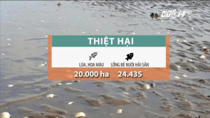 Sức tàn phá khủng khiếp của bão số 12: Những con số giật mình