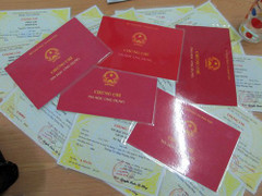 Dùng 2 bằng THPT không hợp pháp, Chủ tịch xã ở Đắk Nông bị cắt hết chức vụ Đảng