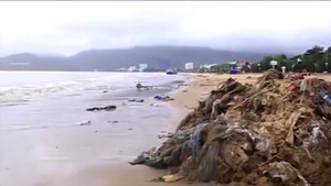 Sau bão số 12, bờ biển Quy Nhơn hứng chịu 800 tấn rác