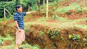 Xuất hiện vết nứt dài gần hồ chứa bùn đỏ nhà máy Alumin Nhân Cơ