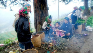 Dự báo thời tiết hôm nay 13/11: Miền Bắc sắp đón không khí lạnh mạnh