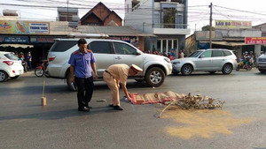 Truy tìm hai xe ô tô cùng đâm chết người đàn ông rồi bỏ trốn