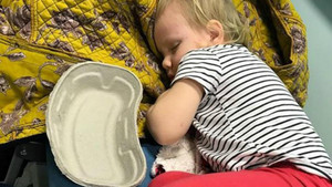 Bị mèo cào, cô bé 3 tuổi suýt chết do hội chứng sốc độc