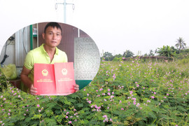 13 năm dân mòn mỏi đi tìm ‘đất thật’: Hải Phòng chỉ đạo làm rõ