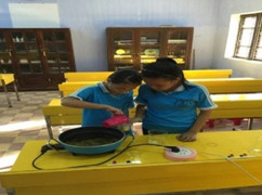 Học sinh cấp 2 ở Huế điều chế 'thần dược' trị sâu răng bằng lá bàng non