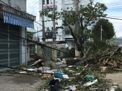 Ứng phó bão số 14: Khánh Hòa yêu cầu sơ tán dân ra khỏi vùng nguy hiểm trước 19h