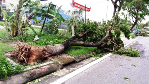 Áp thấp nhiệt đới giật cấp 8 hướng thẳng các tỉnh Bình Thuận đến Trà Vinh