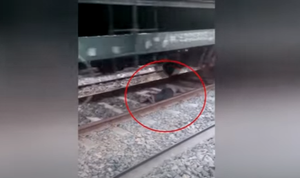 Clip: 'Ma men' sống sót thần kỳ dưới gầm tàu hỏa