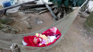 Đỉnh cao của não cá vàng: Mẹ để con ngoài vườn rồi lục tung nhà để tìm con