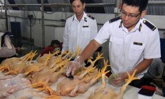 Hội nghị triển khai hàng loạt văn bản về an toàn thực phẩm tại Hà Giang