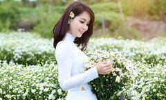 Thướt tha cúc họa mi gọi đông về