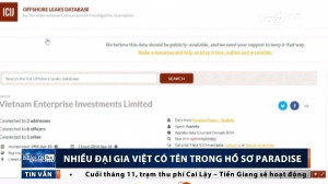 Các đại gia Việt bị điểm tên rửa tiền, trốn thuế trong hồ sơ Paradise