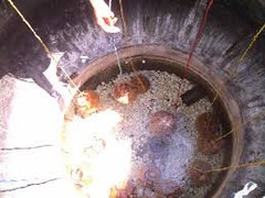 Vũng Tàu: Đến Bình Châu luộc trứng gà siêu ngon