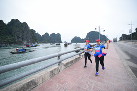 1.200 người chạy marathon dọc Vịnh Hạ Long trong cái rét 14 độ C