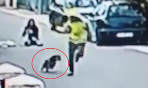 Chó hoang lao vào cắn xé tên cướp, giải cứu cô gái giữa phố