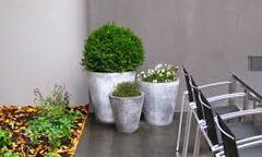 Cách làm chậu cây trồng 'độc nhất vô nhị' được biến hóa từ xi măng