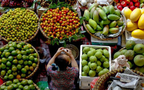 Kỷ lục mới ngành nông nghiệp: Xuất khẩu chạm mốc 33 tỷ USD