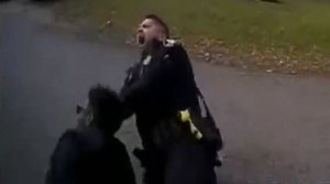 Clip: Cảnh sát Mỹ chích điện nhầm khiến đồng đội nhập viện