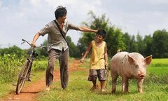 5 bộ phim bom tấn về gia đình đồng loạt công phá các rạp vào cuối năm