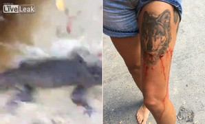 Clip sốc: Cá sấu đột ngột chồm lên bờ, đớp đùi nữ du khách