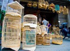 Chiêm ngưỡng những chiếc lồng chim giá hàng chục triệu đồng ở Hà Nội