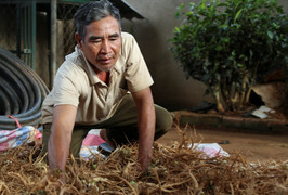 Video: Đam mê trồng cây dược liệu, người đàn ông suýt mất vợ