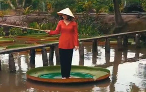 Clip lá sen khổng lồ 'cõng' người ở Đồng Tháp gây sốt mạng xã hội