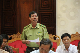 Đại công trường khai thác gỗ trái phép ở Đắk Lắk: Chi cục Kiểm lâm cung cấp thông tin mới