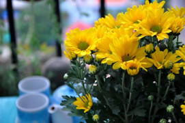 Bày hoa trên bàn thờ: Cần tránh những điều này nếu không muốn phạm đại kỵ